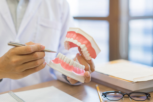 Periodontist holding model of teeth and gums