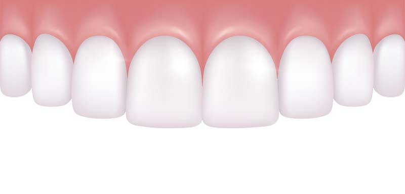 top gums and teeth illustration