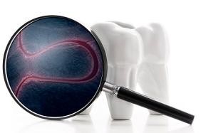 Molar tooth with magnifying glass showing bacteria